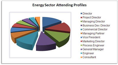 Breakdown of those who attend our energy events
