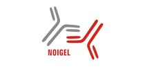 Noigel LLC