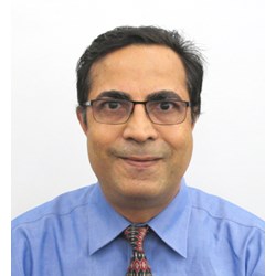 Ravi S. Harapanhalli