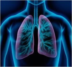 COPD: Novel Therapeutics and Management Strategies