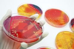 Pharmaceutical Microbiology